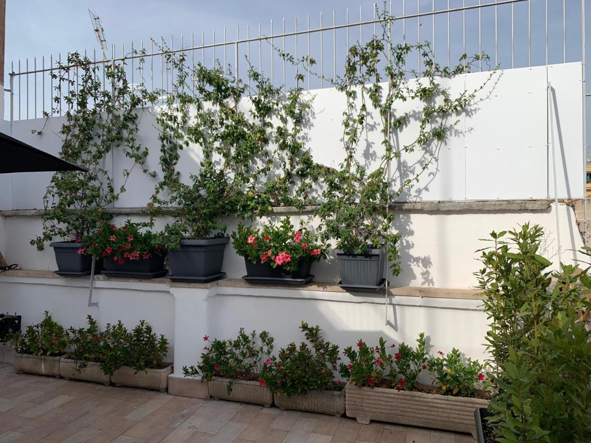 Tristar Terrace Penthouse Appartement
